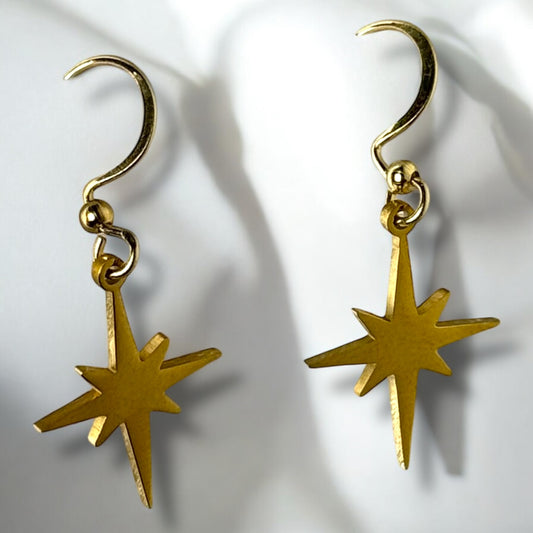 Bright Earrings